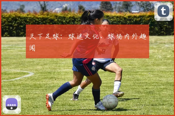 天下足球：球迷文化、球场内外趣闻