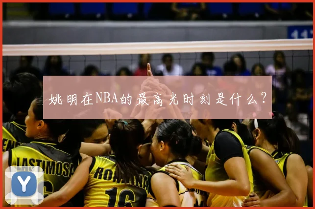 姚明在NBA的最高光时刻是什么？