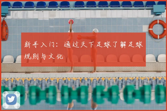 新手入门：通过天下足球了解足球规则与文化